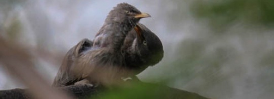 #Frifotos :The Power of Two