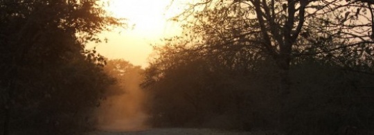 Visit to the Gir National Forest – A Photostory : Part 1