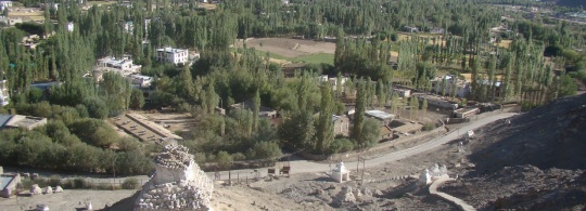 Having a Leh’dback Time