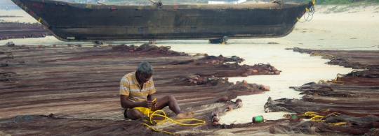 Photo of the Week : Life on the Beach
