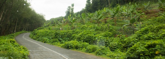 Western Ghats further Down South : Pallaruvi Waterfalls, Pathimoonu Kunnara Palam & Gavi