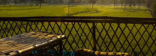 Photo of the Week : Morning in Virpapur Gaddi near Hampi