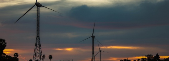 Photo of the Week : Blowin’ in the Wind